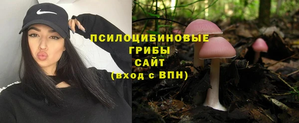 крисы Вяземский