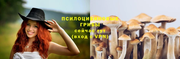 бошки Вязьма